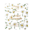 Candied Chamomile Chocolate 49%
