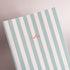 Mint Striped Notebook with Contrast Color